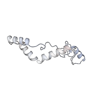 11392_6zsb_AK_v4-1
Human mitochondrial ribosome in complex with mRNA and P-site tRNA