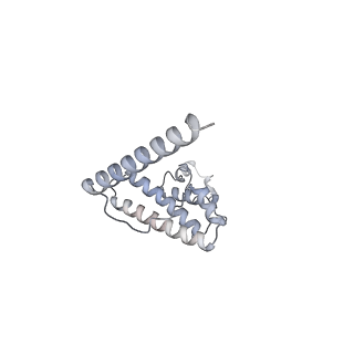 11392_6zsb_AL_v4-1
Human mitochondrial ribosome in complex with mRNA and P-site tRNA