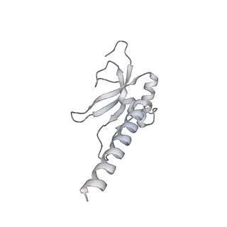 11392_6zsb_AM_v4-1
Human mitochondrial ribosome in complex with mRNA and P-site tRNA