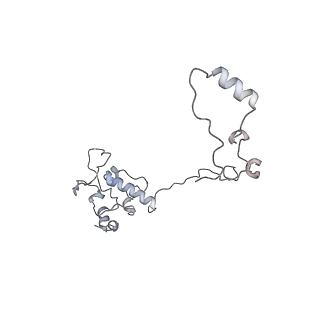 11392_6zsb_AO_v1-1
Human mitochondrial ribosome in complex with mRNA and P-site tRNA