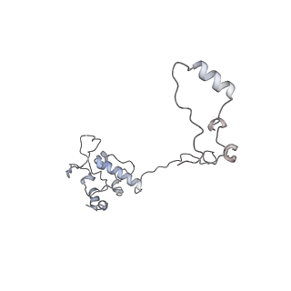 11392_6zsb_AO_v4-1
Human mitochondrial ribosome in complex with mRNA and P-site tRNA