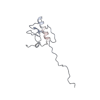 11392_6zsb_AP_v1-1
Human mitochondrial ribosome in complex with mRNA and P-site tRNA