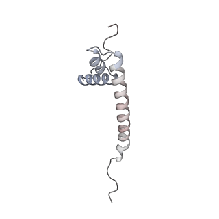 11392_6zsb_AQ_v1-1
Human mitochondrial ribosome in complex with mRNA and P-site tRNA