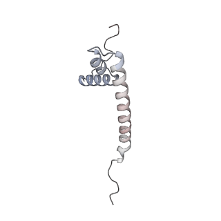 11392_6zsb_AQ_v3-0
Human mitochondrial ribosome in complex with mRNA and P-site tRNA
