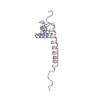 11392_6zsb_AQ_v4-1
Human mitochondrial ribosome in complex with mRNA and P-site tRNA