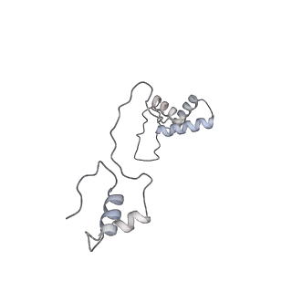 11392_6zsb_AS_v1-1
Human mitochondrial ribosome in complex with mRNA and P-site tRNA