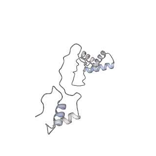 11392_6zsb_AS_v4-0
Human mitochondrial ribosome in complex with mRNA and P-site tRNA