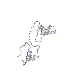 11392_6zsb_AS_v4-1
Human mitochondrial ribosome in complex with mRNA and P-site tRNA