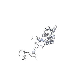 11392_6zsb_AT_v1-1
Human mitochondrial ribosome in complex with mRNA and P-site tRNA