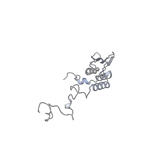11392_6zsb_AT_v3-0
Human mitochondrial ribosome in complex with mRNA and P-site tRNA