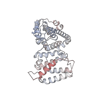 11392_6zsb_AV_v1-1
Human mitochondrial ribosome in complex with mRNA and P-site tRNA
