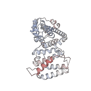 11392_6zsb_AV_v4-1
Human mitochondrial ribosome in complex with mRNA and P-site tRNA