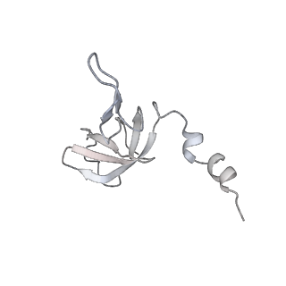 11392_6zsb_AW_v4-1
Human mitochondrial ribosome in complex with mRNA and P-site tRNA