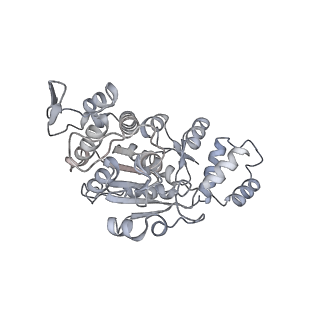 11392_6zsb_AX_v1-1
Human mitochondrial ribosome in complex with mRNA and P-site tRNA