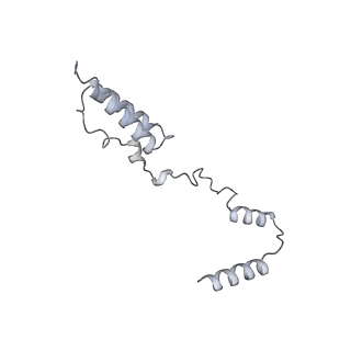 11392_6zsb_AY_v4-1
Human mitochondrial ribosome in complex with mRNA and P-site tRNA