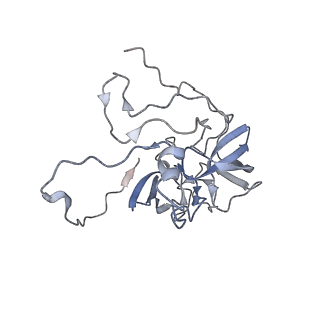 11392_6zsb_XD_v1-1
Human mitochondrial ribosome in complex with mRNA and P-site tRNA