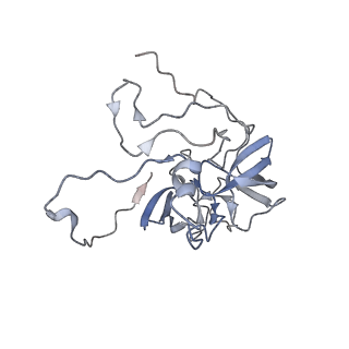 11392_6zsb_XD_v4-1
Human mitochondrial ribosome in complex with mRNA and P-site tRNA