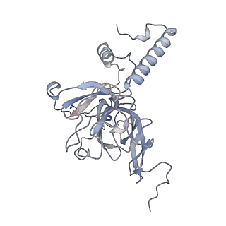 11392_6zsb_XE_v1-1
Human mitochondrial ribosome in complex with mRNA and P-site tRNA