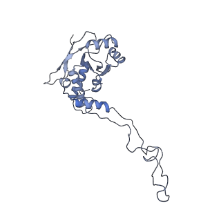 11392_6zsb_XF_v4-1
Human mitochondrial ribosome in complex with mRNA and P-site tRNA