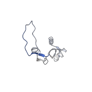 11392_6zsb_XH_v1-1
Human mitochondrial ribosome in complex with mRNA and P-site tRNA