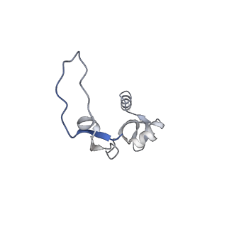 11392_6zsb_XH_v2-0
Human mitochondrial ribosome in complex with mRNA and P-site tRNA