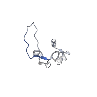 11392_6zsb_XH_v4-1
Human mitochondrial ribosome in complex with mRNA and P-site tRNA