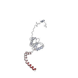 11392_6zsb_XI_v4-1
Human mitochondrial ribosome in complex with mRNA and P-site tRNA