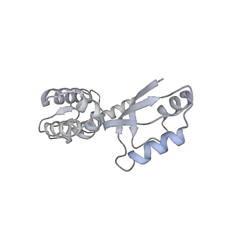 11392_6zsb_XJ_v4-1
Human mitochondrial ribosome in complex with mRNA and P-site tRNA