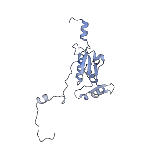 11392_6zsb_XK_v4-1
Human mitochondrial ribosome in complex with mRNA and P-site tRNA