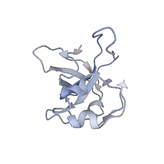 11392_6zsb_XL_v4-1
Human mitochondrial ribosome in complex with mRNA and P-site tRNA