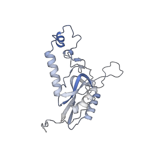 11392_6zsb_XN_v1-1
Human mitochondrial ribosome in complex with mRNA and P-site tRNA