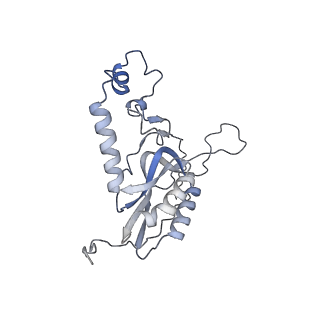 11392_6zsb_XN_v2-0
Human mitochondrial ribosome in complex with mRNA and P-site tRNA