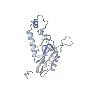 11392_6zsb_XN_v3-0
Human mitochondrial ribosome in complex with mRNA and P-site tRNA