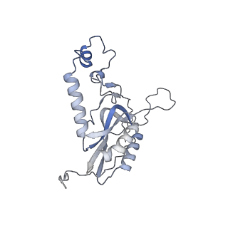 11392_6zsb_XN_v4-1
Human mitochondrial ribosome in complex with mRNA and P-site tRNA