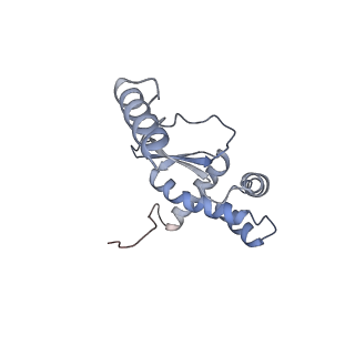 11392_6zsb_XO_v1-1
Human mitochondrial ribosome in complex with mRNA and P-site tRNA