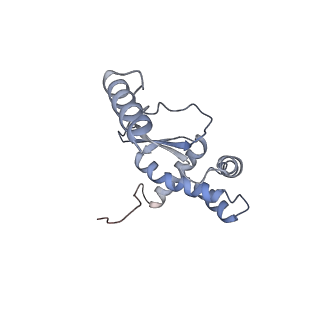 11392_6zsb_XO_v4-1
Human mitochondrial ribosome in complex with mRNA and P-site tRNA