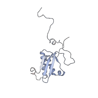 11392_6zsb_XP_v1-1
Human mitochondrial ribosome in complex with mRNA and P-site tRNA