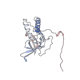 11392_6zsb_XQ_v1-1
Human mitochondrial ribosome in complex with mRNA and P-site tRNA