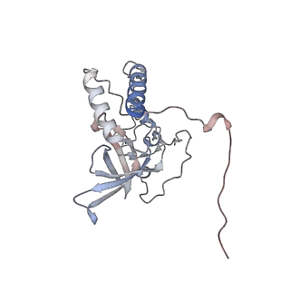 11392_6zsb_XQ_v4-0
Human mitochondrial ribosome in complex with mRNA and P-site tRNA