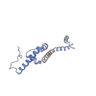 11392_6zsb_XR_v1-1
Human mitochondrial ribosome in complex with mRNA and P-site tRNA