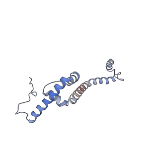 11392_6zsb_XR_v4-1
Human mitochondrial ribosome in complex with mRNA and P-site tRNA