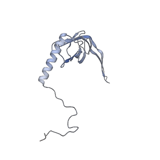 11392_6zsb_XS_v1-1
Human mitochondrial ribosome in complex with mRNA and P-site tRNA