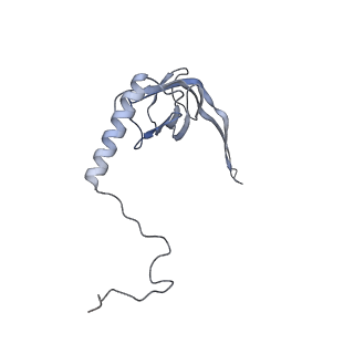 11392_6zsb_XS_v4-1
Human mitochondrial ribosome in complex with mRNA and P-site tRNA