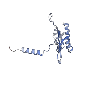 11392_6zsb_XT_v1-1
Human mitochondrial ribosome in complex with mRNA and P-site tRNA