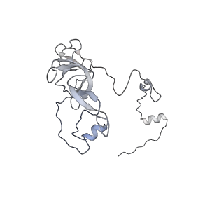 11392_6zsb_XV_v1-1
Human mitochondrial ribosome in complex with mRNA and P-site tRNA