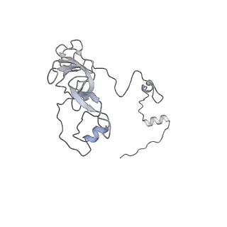 11392_6zsb_XV_v4-1
Human mitochondrial ribosome in complex with mRNA and P-site tRNA