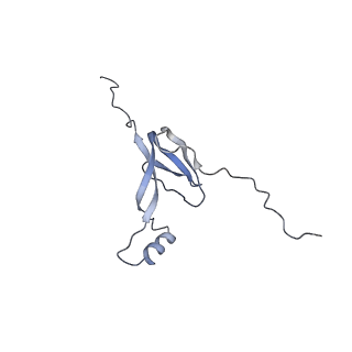 11392_6zsb_XW_v1-1
Human mitochondrial ribosome in complex with mRNA and P-site tRNA