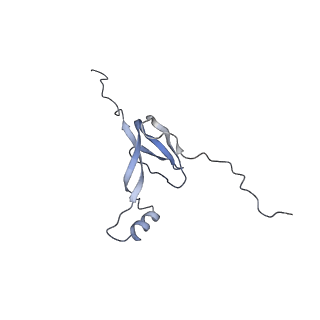 11392_6zsb_XW_v4-1
Human mitochondrial ribosome in complex with mRNA and P-site tRNA