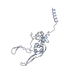 11392_6zsb_XX_v1-1
Human mitochondrial ribosome in complex with mRNA and P-site tRNA