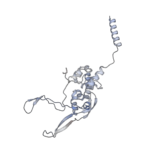11392_6zsb_XX_v3-0
Human mitochondrial ribosome in complex with mRNA and P-site tRNA